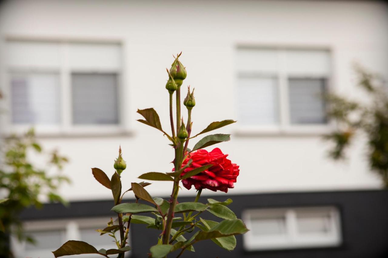 Apartman Kuca 150 Mala Subotica 외부 사진